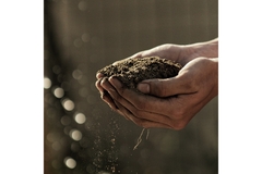 Image A person holding dry soil in their hands.